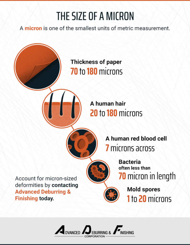 What is a Micron? The explanation and size comparison Infographic